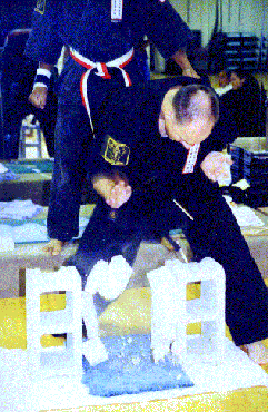 Panama Dojo